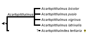 taxon links