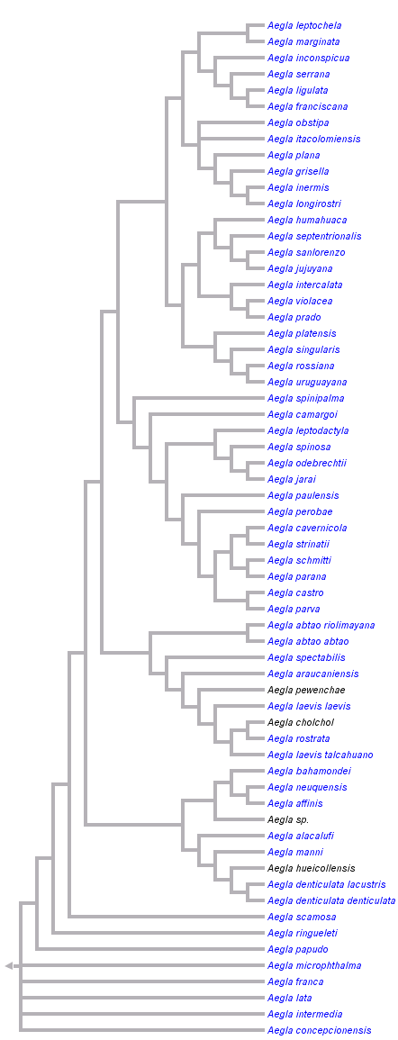 taxon links