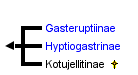 taxon links