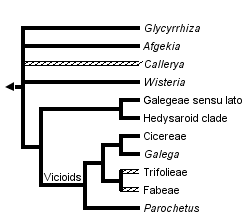 taxon links