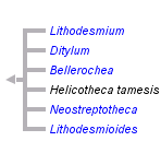 taxon links