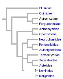 taxon links