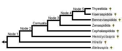 taxon links