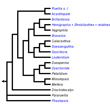 taxon links