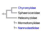 taxon links