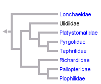 taxon links