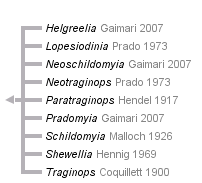 taxon links