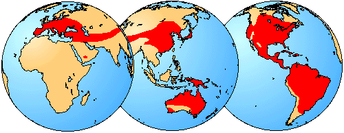 distribution of living members of the family Hylidae